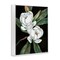 Stupell Industries Vintage Bay Magnolia Framed Giclee, design by Paul Brent